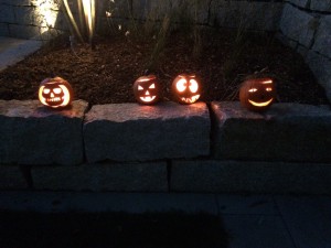 Kürbisse - ECO Treuhand