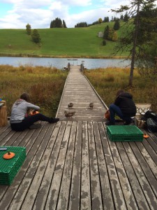 Schnitz-Wettbewerb - ECO Treuhand